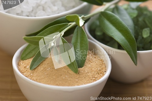 Image of fresh olive branch and bath salt. spa
