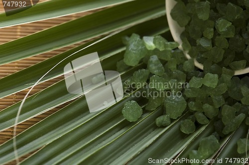 Image of bath salt and palm leaf