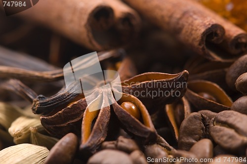 Image of aroma coffe. ingredients. coffe beens, anise, vanilla, cardamon,