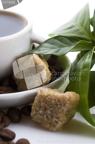 Image of fresh coffee with coffee branch