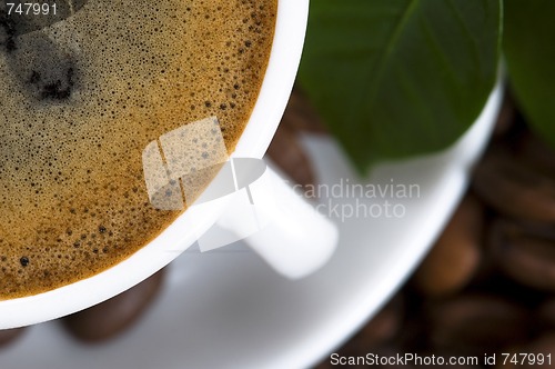 Image of fresh coffee with coffee branch