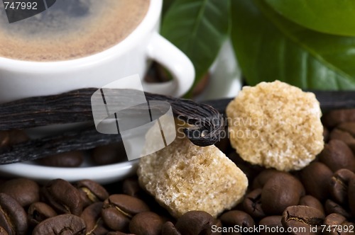 Image of aroma coffee with vanilla and coffee branch