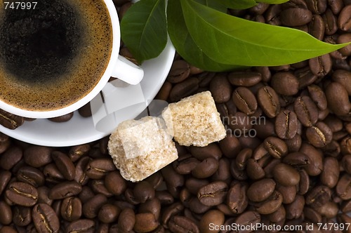 Image of fresh coffee with coffee branch