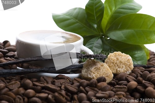 Image of aroma coffee with vanilla and coffee branch