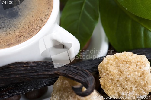Image of aroma coffee with vanilla and coffee branch