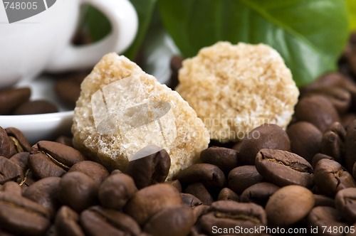 Image of fresh coffee with coffee branch