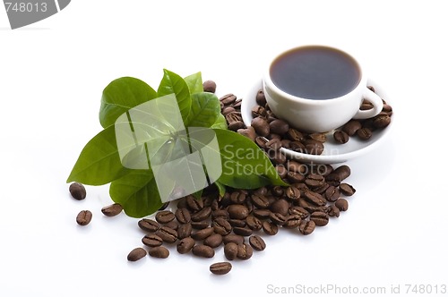 Image of fresh coffee with coffee branch