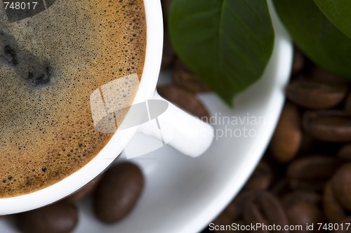 Image of fresh coffee with coffee branch
