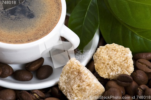 Image of fresh coffee with coffee branch