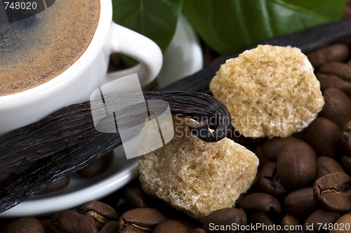 Image of aroma coffee with vanilla and coffee branch