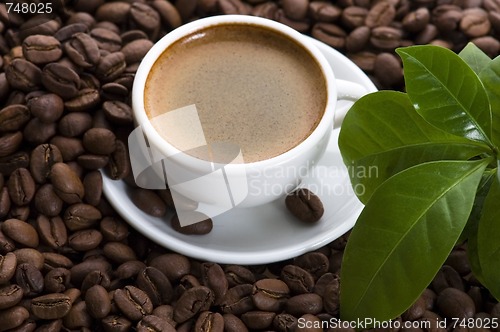 Image of fresh coffee with coffee branch