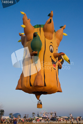 Image of Pattaya International Balloon Fiesta 2009
