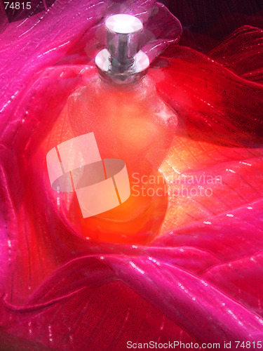 Image of Perfume