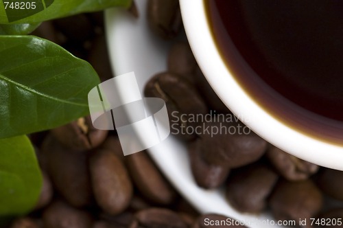 Image of fresh coffee with coffee branch
