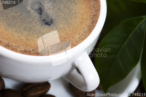Image of fresh coffee with coffee branch