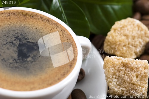 Image of fresh coffee with coffee branch