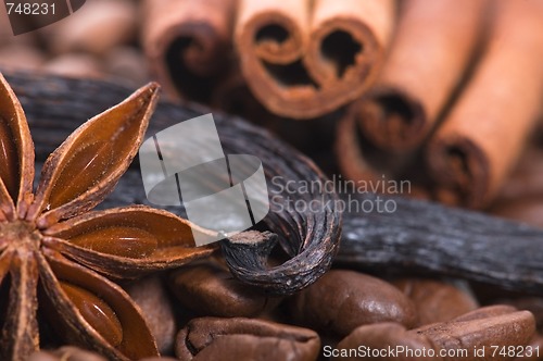 Image of aroma coffe. ingredients. coffe beens, anise, vanilla, cinnamon