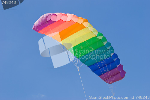 Image of Colourful kite