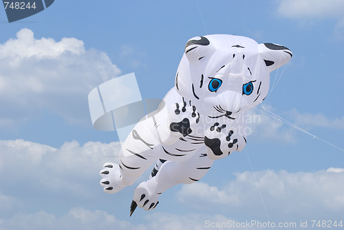 Image of Kite shaped as a white tiger cub