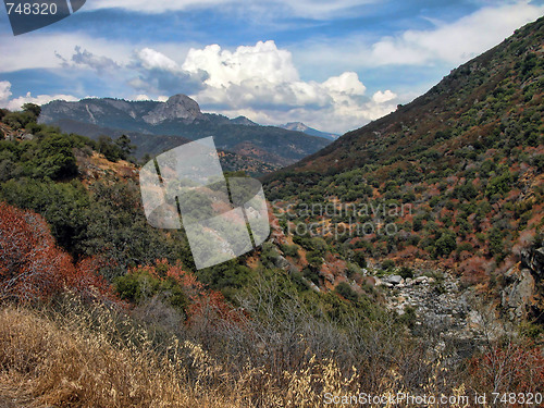 Image of Sequoia National Park, U.S.A.