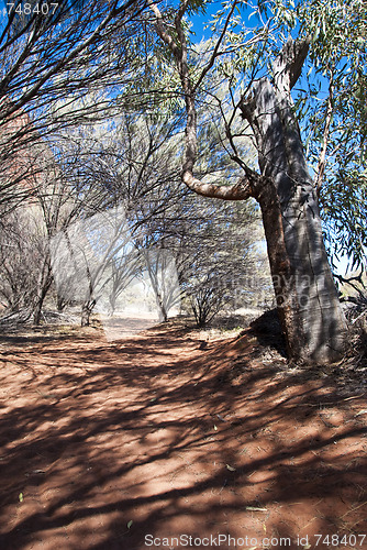 Image of Australian Outback, Northern Territory, Australia