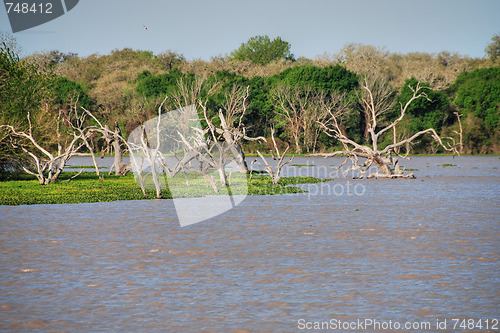 Image of Lake near Galveston, Texas