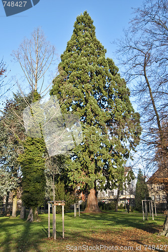 Image of Friedrichshafen, Germany, Christmas Time