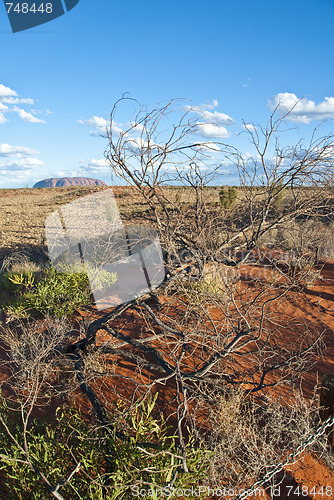 Image of Australian Outback, Northern Territory, Australia