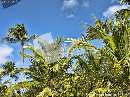 Image of Santo Domingo, Republica Dominicana