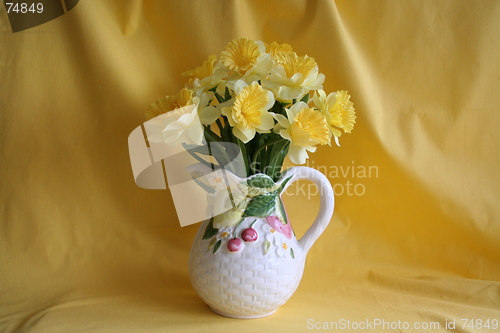 Image of Daffodil in  pot with  cherry and flowers