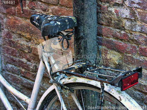 Image of Bicycle in Pisa, Italy