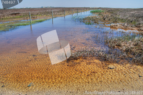 Image of Coast near Galveston, Texas