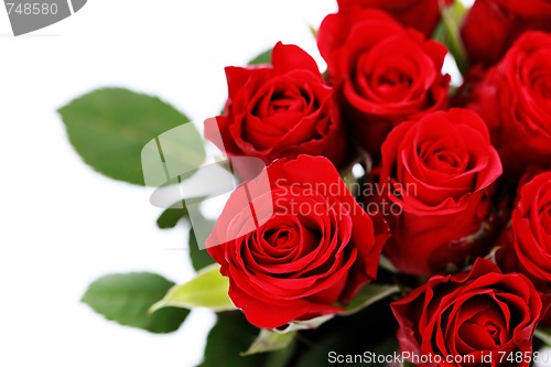 Image of bunch of roses