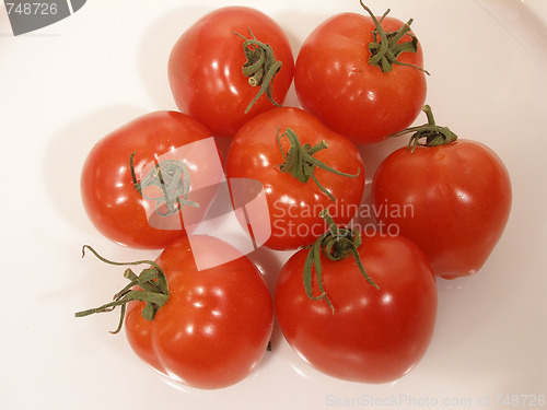 Image of tomatoes