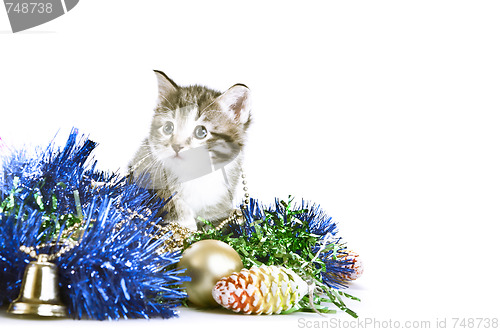 Image of kitten amongst christmas tree decoration