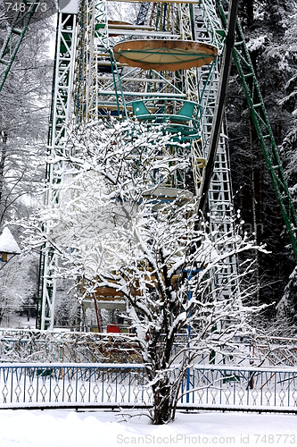 Image of Snow-covered tree and ferris wheel in winter park