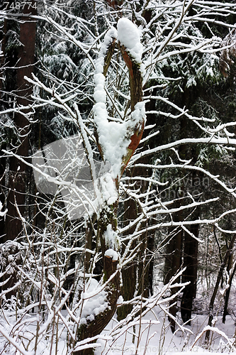 Image of Winter sculpture - infinity sign