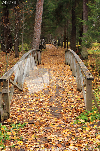 Image of Wooden bridges in an autumn forest