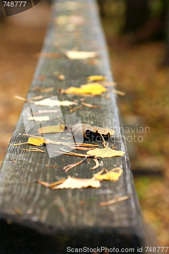 Image of Yellow autumn leaves on a wooden handrail