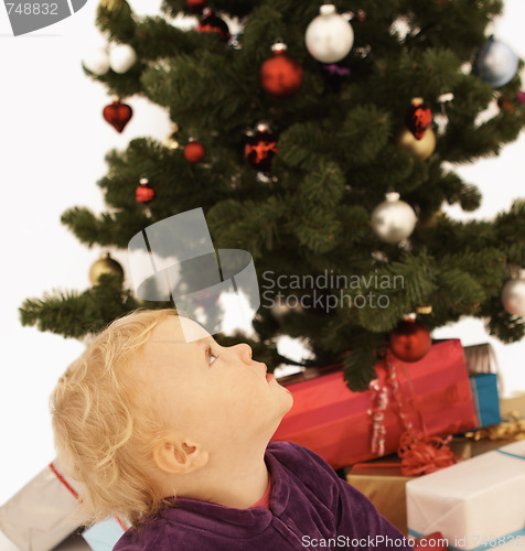 Image of Christmas Time - Cute kid looking up at christmas tree