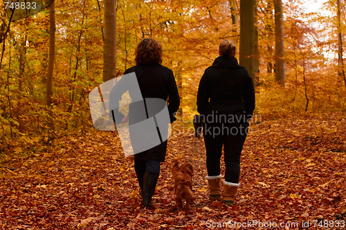 Image of Mother and daughter walking in the forest