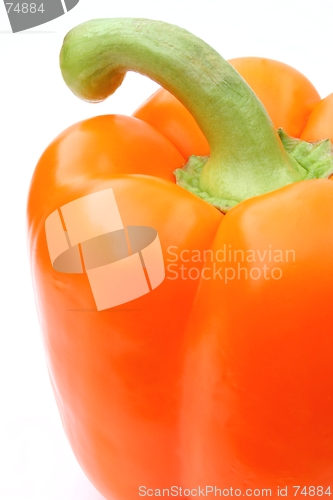 Image of Orange Pepper