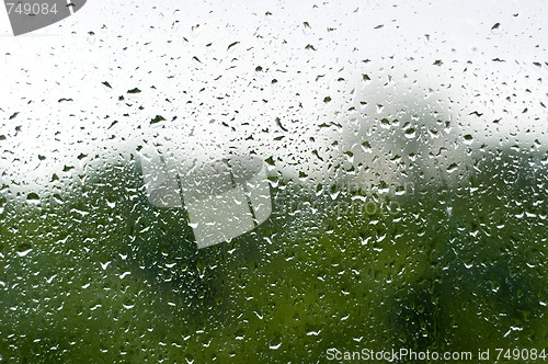 Image of Rain drops on glass