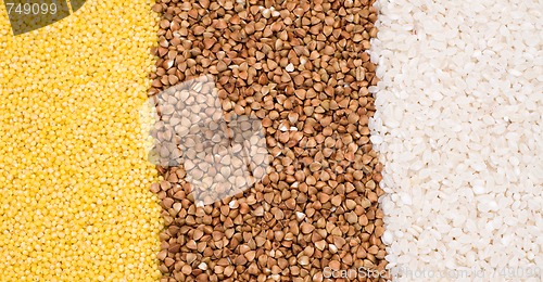 Image of Millet, buckwheat, rice background