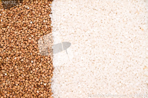 Image of Buckwheat and rice background