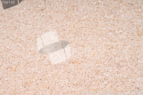 Image of Rice groats background