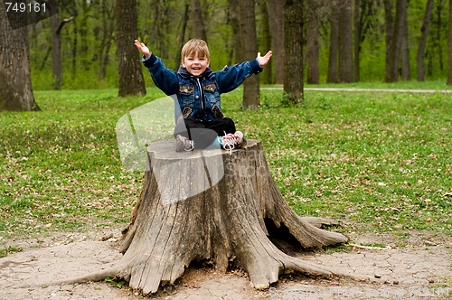 Image of Little boy in wood