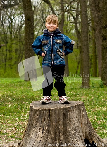 Image of Little boy in wood