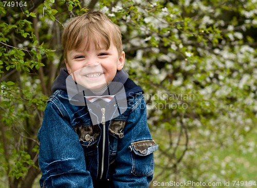 Image of Little boy in wood