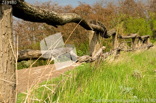 Image of Old wooden fence